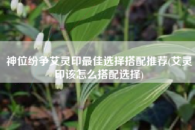 神位纷争艾灵印最佳选择搭配推荐(艾灵印该怎么搭配选择)