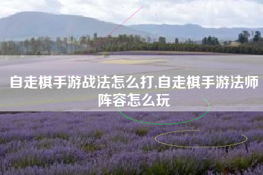自走棋手游战法怎么打,自走棋手游法师阵容怎么玩
