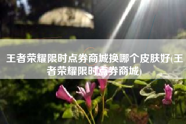 王者荣耀限时点券商城换哪个皮肤好(王者荣耀限时点券商城)