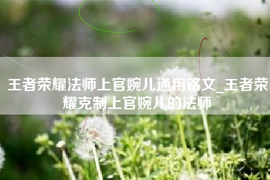 王者荣耀法师上官婉儿通用铭文_王者荣耀克制上官婉儿的法师