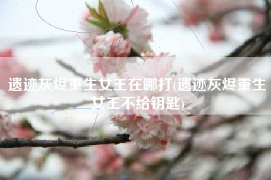 遗迹灰烬重生女王在哪打(遗迹灰烬重生女王不给钥匙)