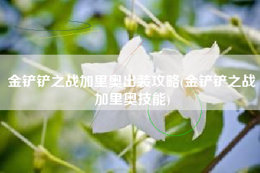 金铲铲之战加里奥出装攻略(金铲铲之战加里奥技能)
