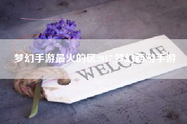 梦幻手游最火的区2017,梦幻西游手游