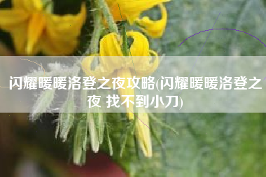 闪耀暖暖洛登之夜攻略(闪耀暖暖洛登之夜 找不到小刀)