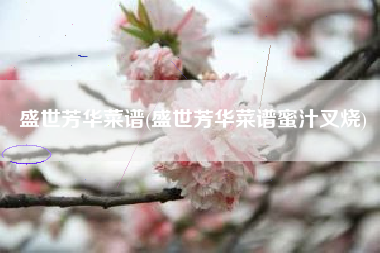 盛世芳华菜谱(盛世芳华菜谱蜜汁叉烧)