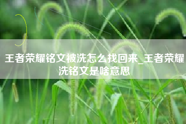 王者荣耀铭文被洗怎么找回来_王者荣耀洗铭文是啥意思