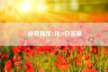 神奇海洋7月29日答案