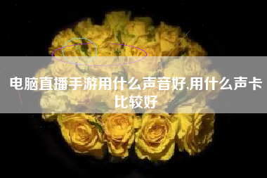 电脑直播手游用什么声音好,用什么声卡比较好