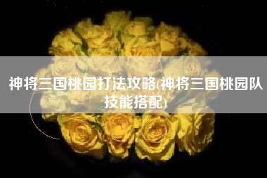 神将三国桃园打法攻略(神将三国桃园队技能搭配)