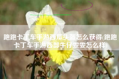 跑跑卡丁车手游西瓜头盔怎么获得(跑跑卡丁车手游西部牛仔雯雯怎么样)