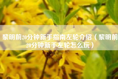黎明前20分钟新手指南左轮介绍（黎明前20分钟新手左轮怎么玩）