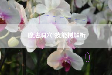 魔法洞穴2技能树解析