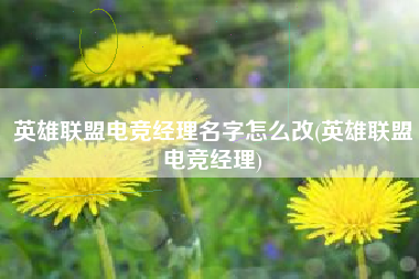 英雄联盟电竞经理名字怎么改(英雄联盟电竞经理)