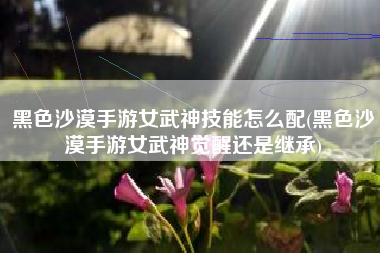 黑色沙漠手游女武神技能怎么配(黑色沙漠手游女武神觉醒还是继承)