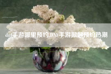 dnf手游哪里预约,DNF手游掀起预约热潮