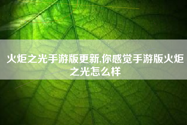 火炬之光手游版更新,你感觉手游版火炬之光怎么样