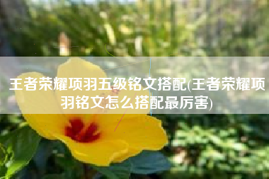 王者荣耀项羽五级铭文搭配(王者荣耀项羽铭文怎么搭配最厉害)
