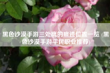 黑色沙漠手游三处鹰的痕迹位置一览 (黑色沙漠手游平民职业推荐)
