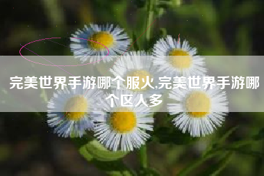 完美世界手游哪个服火,完美世界手游哪个区人多
