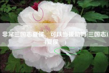 非常三国志夏侯惇可以当援助吗(三国志14夏侯惇)