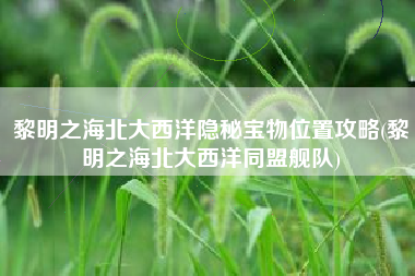 黎明之海北大西洋隐秘宝物位置攻略(黎明之海北大西洋同盟舰队)
