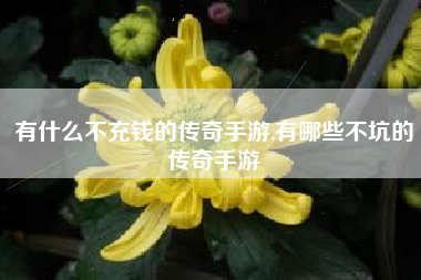 有什么不充钱的传奇手游,有哪些不坑的传奇手游