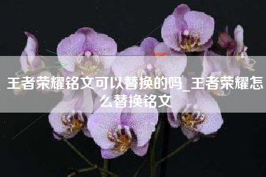 王者荣耀铭文可以替换的吗_王者荣耀怎么替换铭文