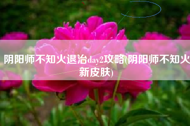 阴阳师不知火退治day2攻略(阴阳师不知火新皮肤)