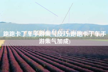 跑跑卡丁车手游集气技巧(跑跑卡丁车手游集气加成)