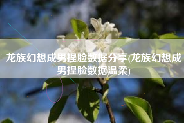 龙族幻想成男捏脸数据分享(龙族幻想成男捏脸数据温柔)