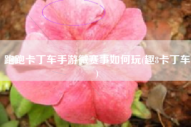 跑跑卡丁车手游微赛事如何玩(趣8卡丁车)
