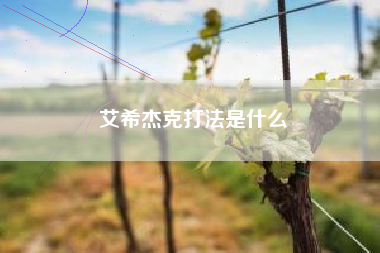 艾希杰克打法是什么