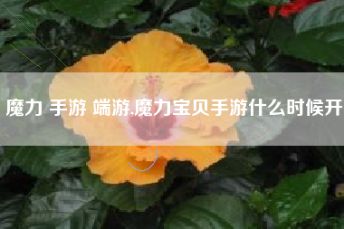 魔力 手游 端游,魔力宝贝手游什么时候开