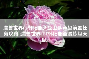 魔兽世界tbc怀旧服天空卫队声望前置任务攻略 (魔兽世界TBC怀旧服盗贼练级天赋)