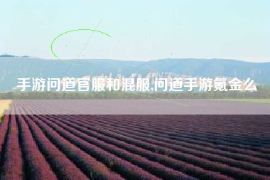 手游问道官服和混服,问道手游氪金么