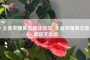 王者荣耀黄忠最佳铭文_王者荣耀黄忠吸血铭文出装