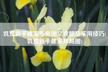 饥荒新手建家布局图文攻略及实用技巧(饥荒新手建家布局图)