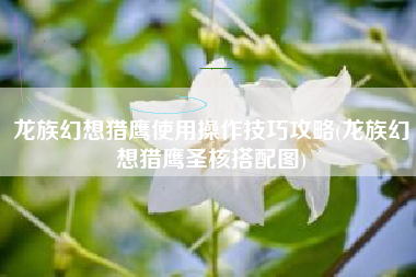 龙族幻想猎鹰使用操作技巧攻略(龙族幻想猎鹰圣核搭配图)
