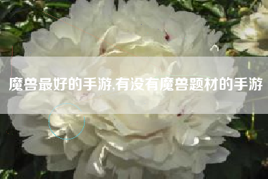 魔兽最好的手游,有没有魔兽题材的手游