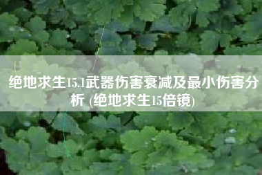 绝地求生15.1武器伤害衰减及最小伤害分析 (绝地求生15倍镜)