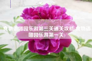 食物语喵园乐游第三关通关攻略(食物语喵园乐游第一关)