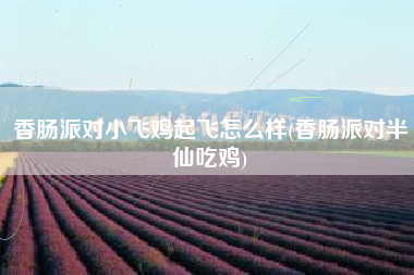 香肠派对小飞鸡起飞怎么样(香肠派对半仙吃鸡)