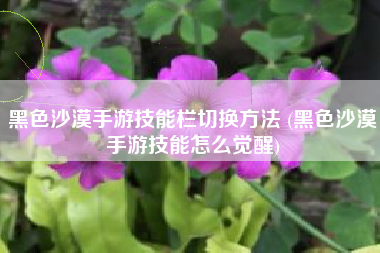 黑色沙漠手游技能栏切换方法 (黑色沙漠手游技能怎么觉醒)