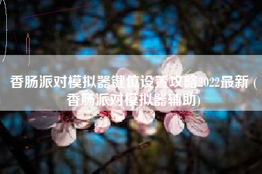 香肠派对模拟器键位设置攻略2022最新 (香肠派对模拟器辅助)