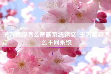 王者荣耀怎么屏蔽系统铭文_王者荣耀怎么不同系统