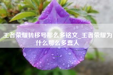王者荣耀转移号那么多铭文_王者荣耀为什么那么多蠢人