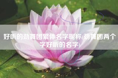 好听的劲舞团繁体名字昵称(劲舞团两个字好听的名字)