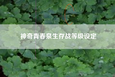 神奇青春泉生存战等级设定