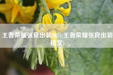王者荣耀张良出装2021(王者荣耀张良出装铭文)