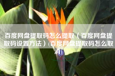 百度网盘提取码怎么提取（百度网盘提取码设置方法）(百度网盘提取码怎么取消)